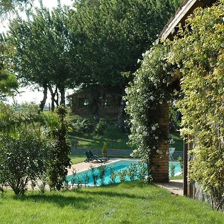 Gallo