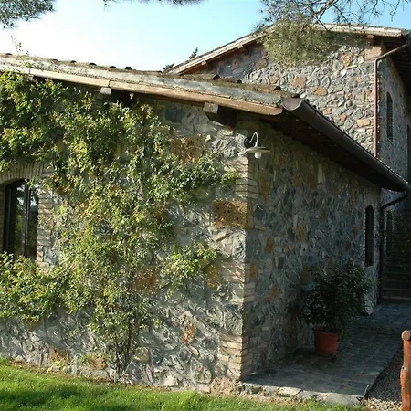 Gallo *